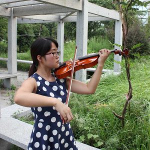 Natural Color Solid Wood Violin Beginner Practice